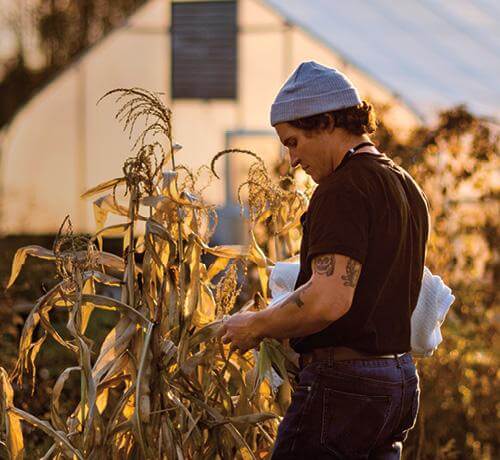 Read article The SAP during winter: Fields nestled under leftover billboards